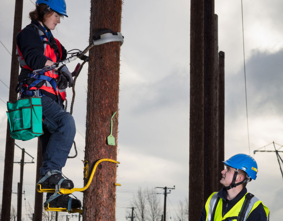 ESB Networks Interns at work on electricity pole