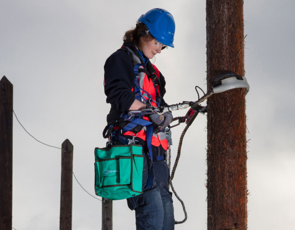 ESB Networks Interns at work on electricity pole